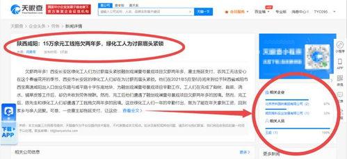 咸阳事件爆料最新消息,揭秘背后真相与影响